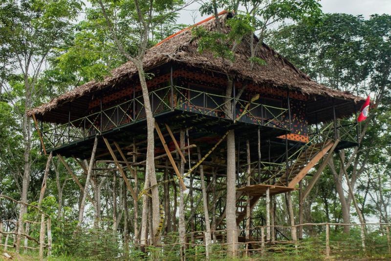 Tree House | Loreto Forest