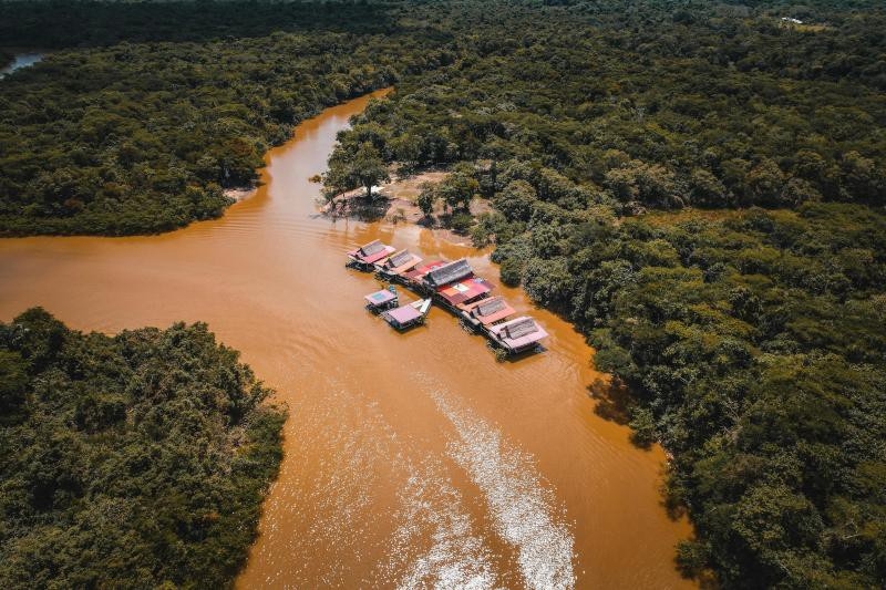 Pacaya Samiria | Peru