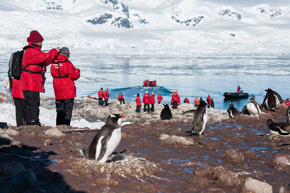 Travelers visiting Antarctica penguins