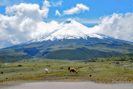 Cotopaxi Volcano | Ecuador