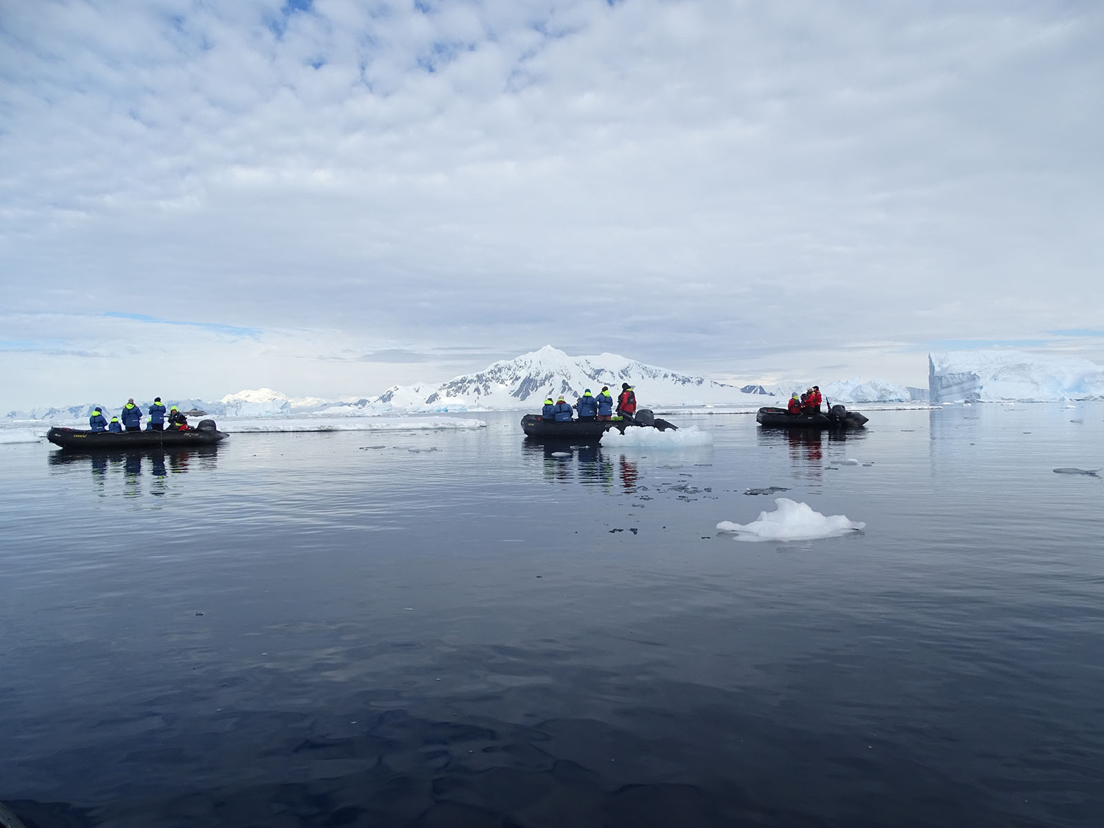 Zodiac landings | Antarctica