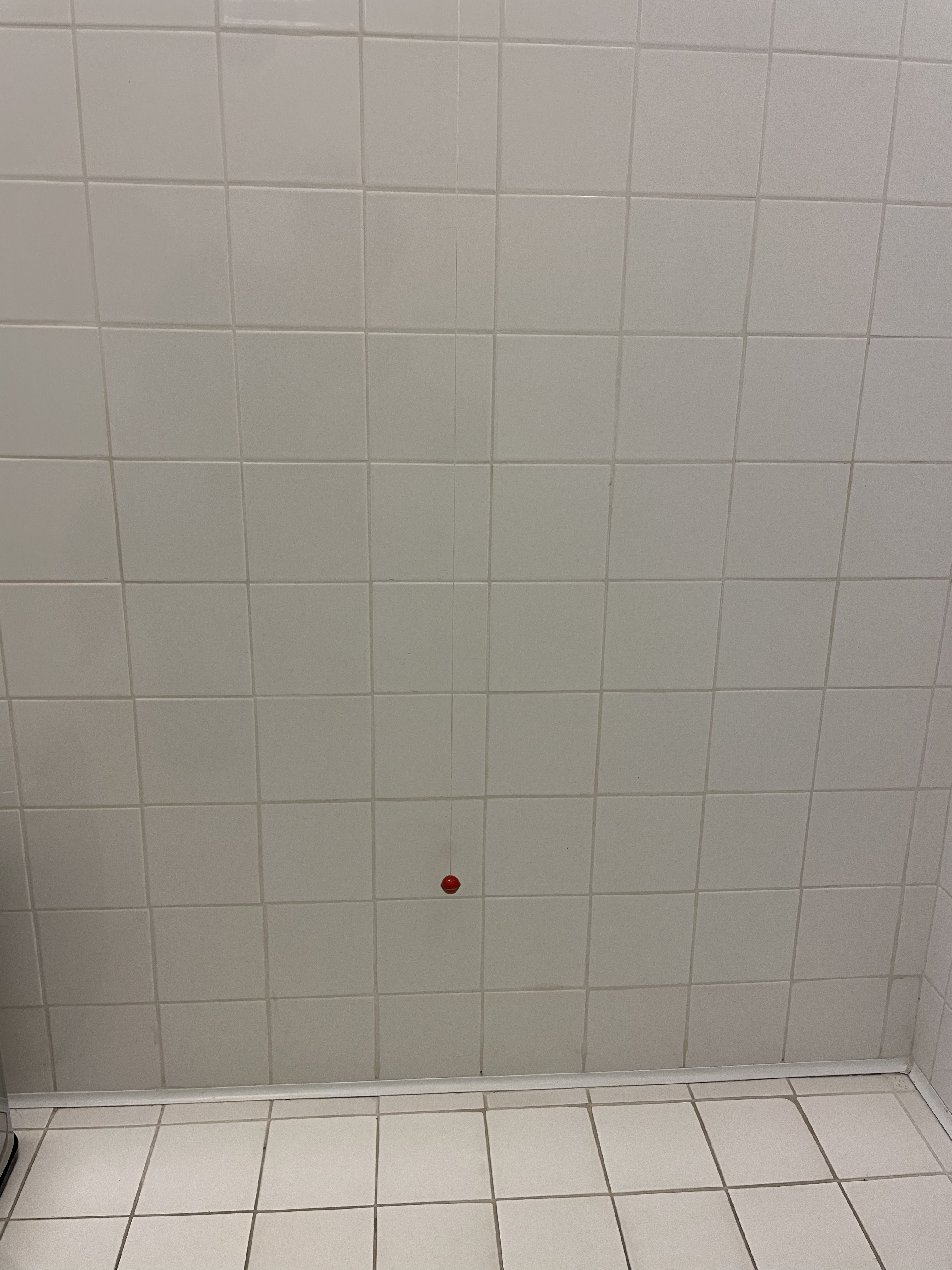 Foto accessibilità