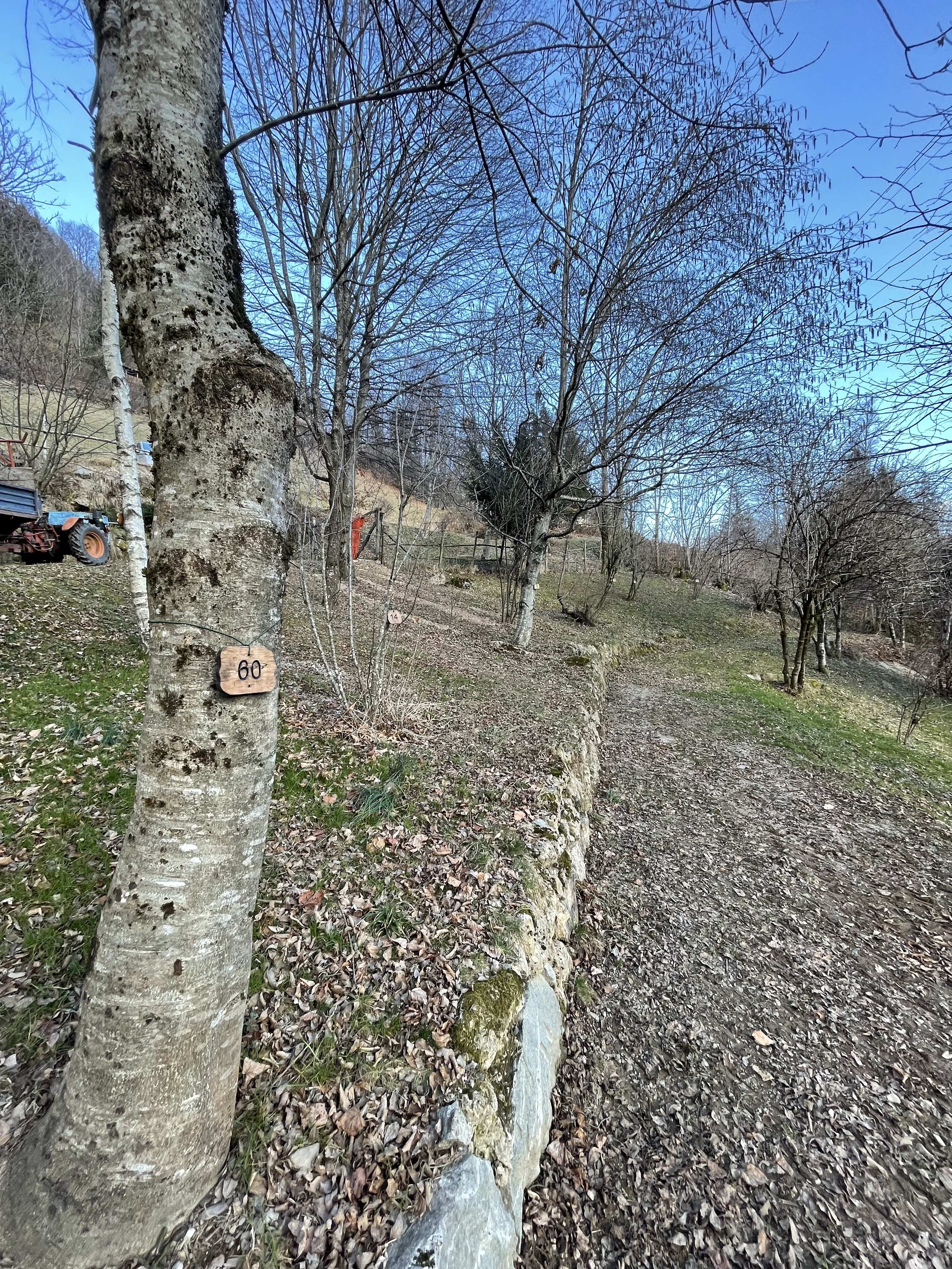 Foto accessibilità