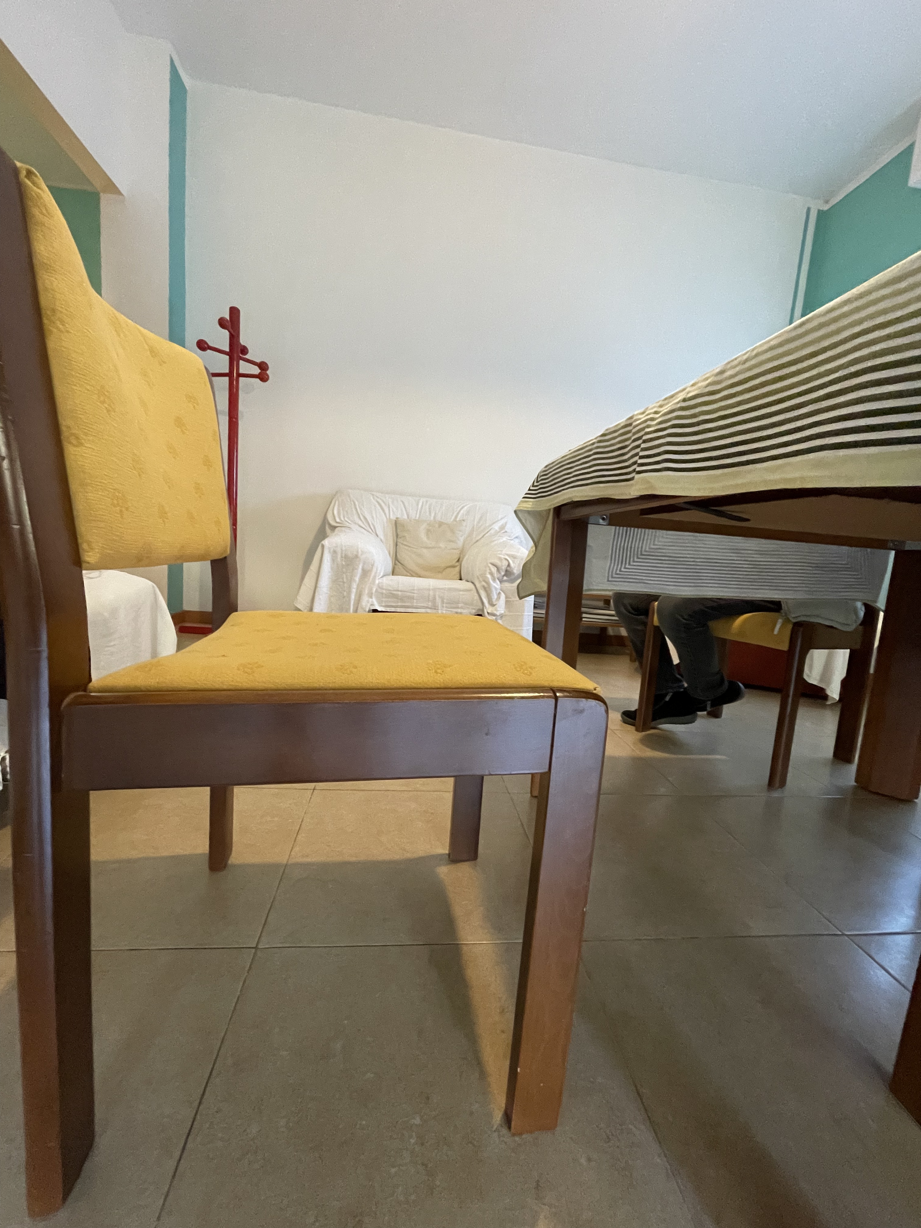 Foto accessibilità