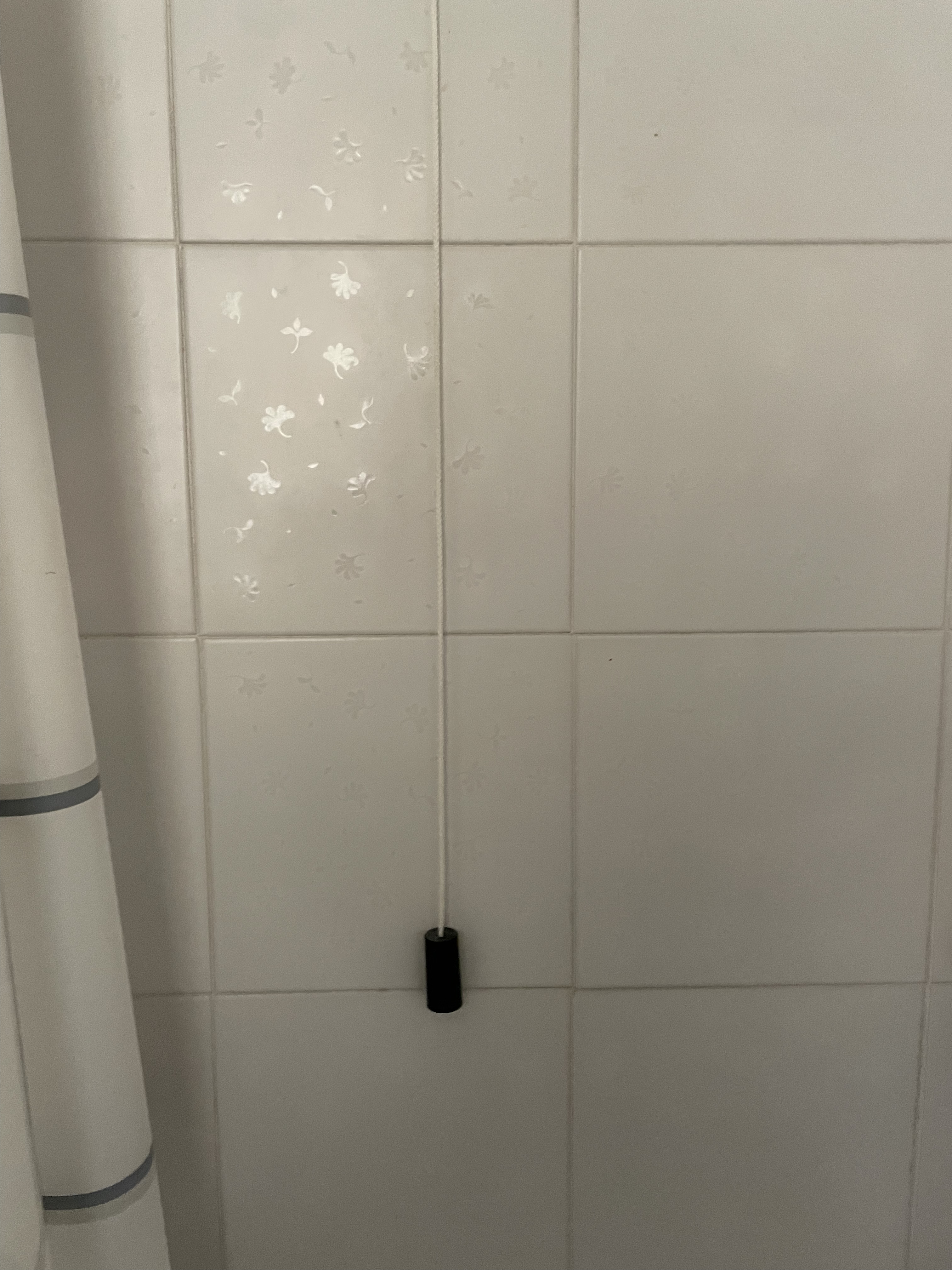 Foto accessibilità