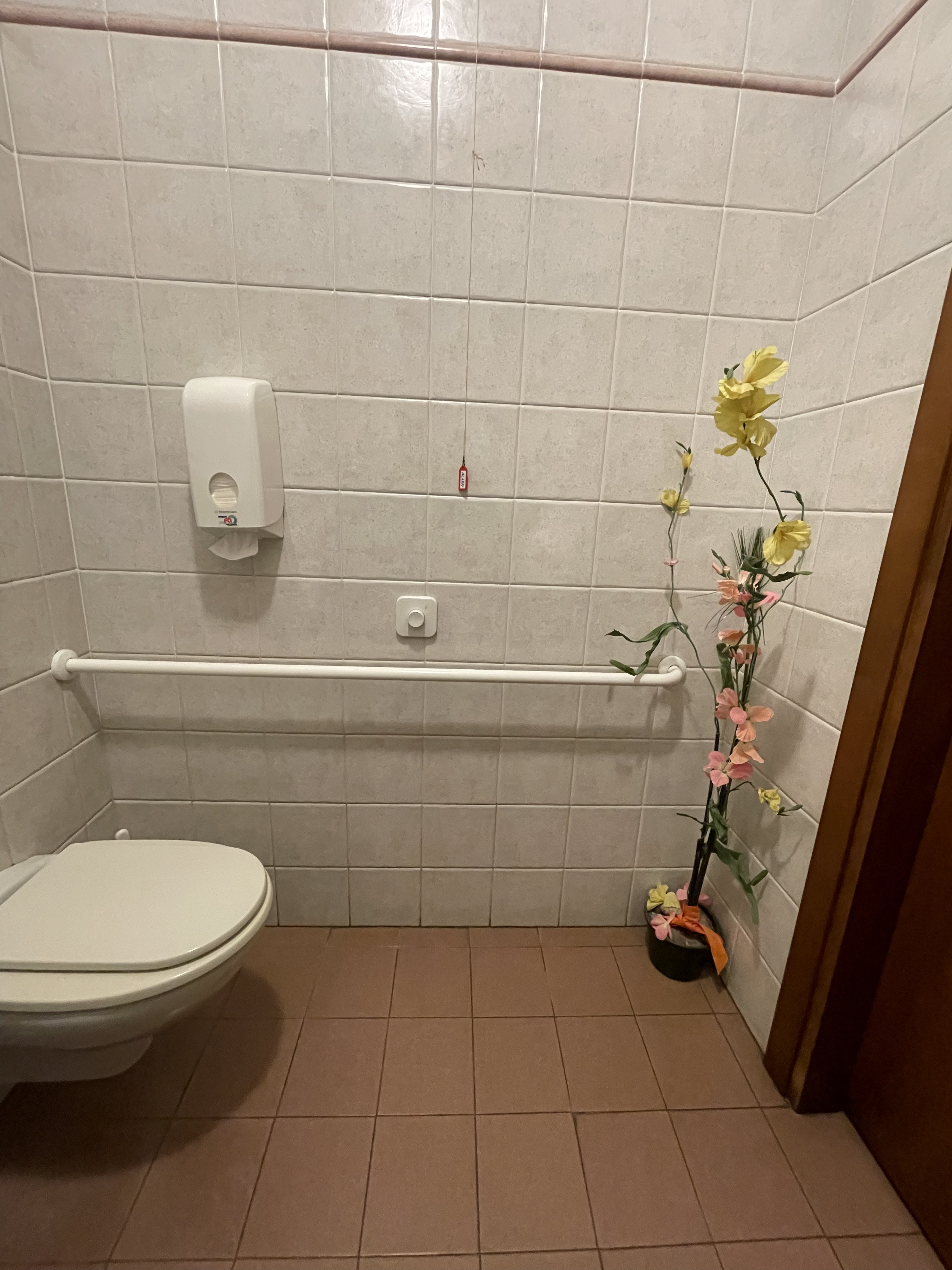 Foto accessibilità
