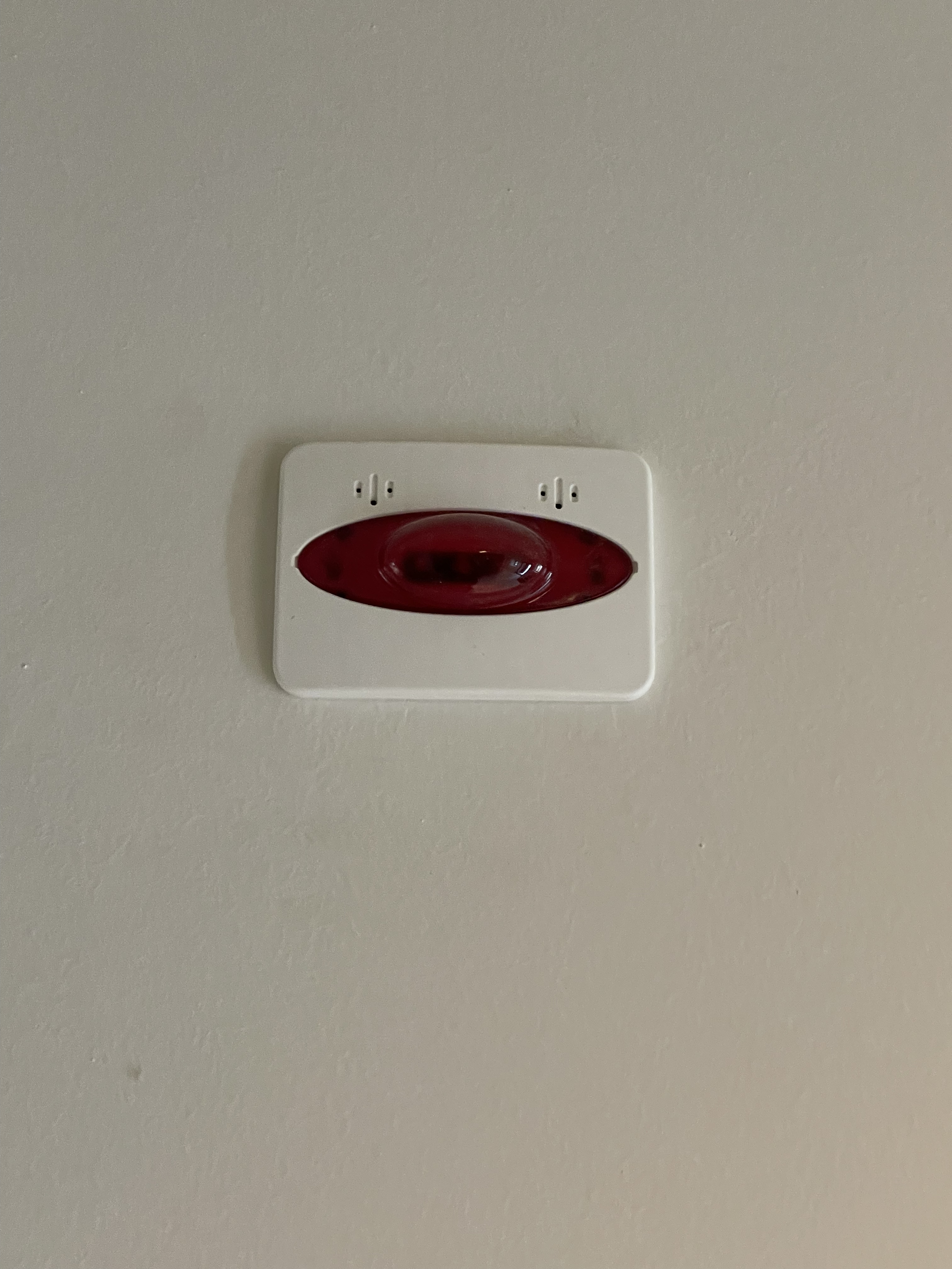 Foto accessibilità