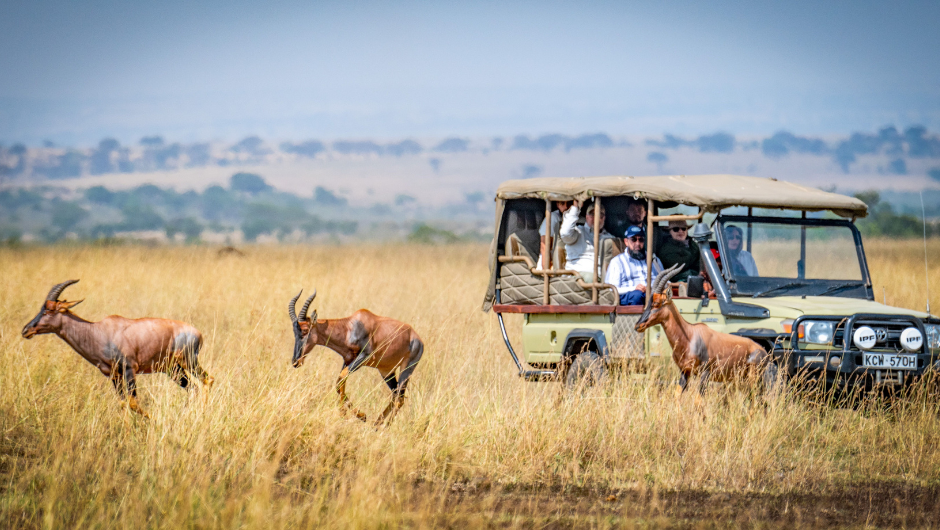 Great Migration Safari Guide | Serengeti & Masai Mara