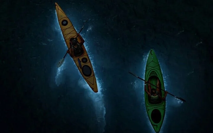 2-Day cruise in Lan Ha bay - Ha Long with Plankton excrursion at night and Floating House Stay Image 1
