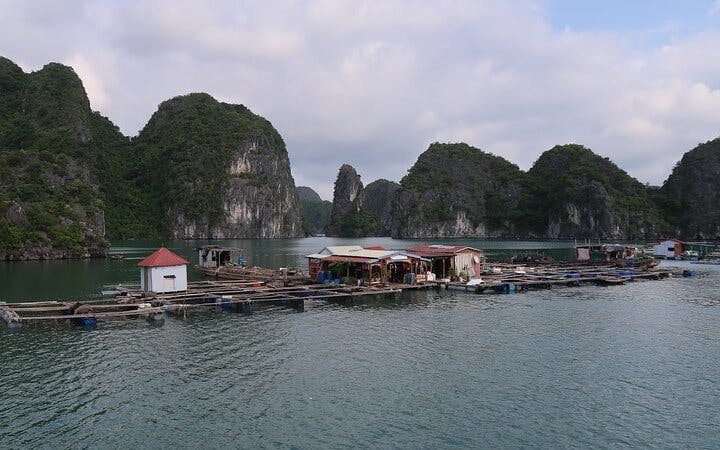 2-Day cruise in Lan Ha bay - Ha Long with Plankton excrursion at night and Floating House Stay Image 10