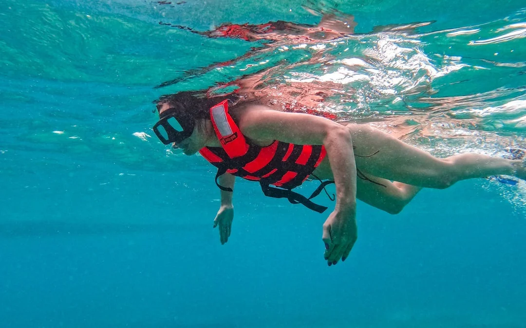 2 Hours Tulum Snorkel: Sea Turtles, Stingrays & Coral Reef Image 1