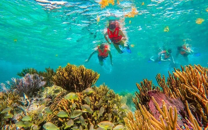3 Hidden Cenotes and Puerto Morelos Reef Guided Snorkeling Tour Image 5