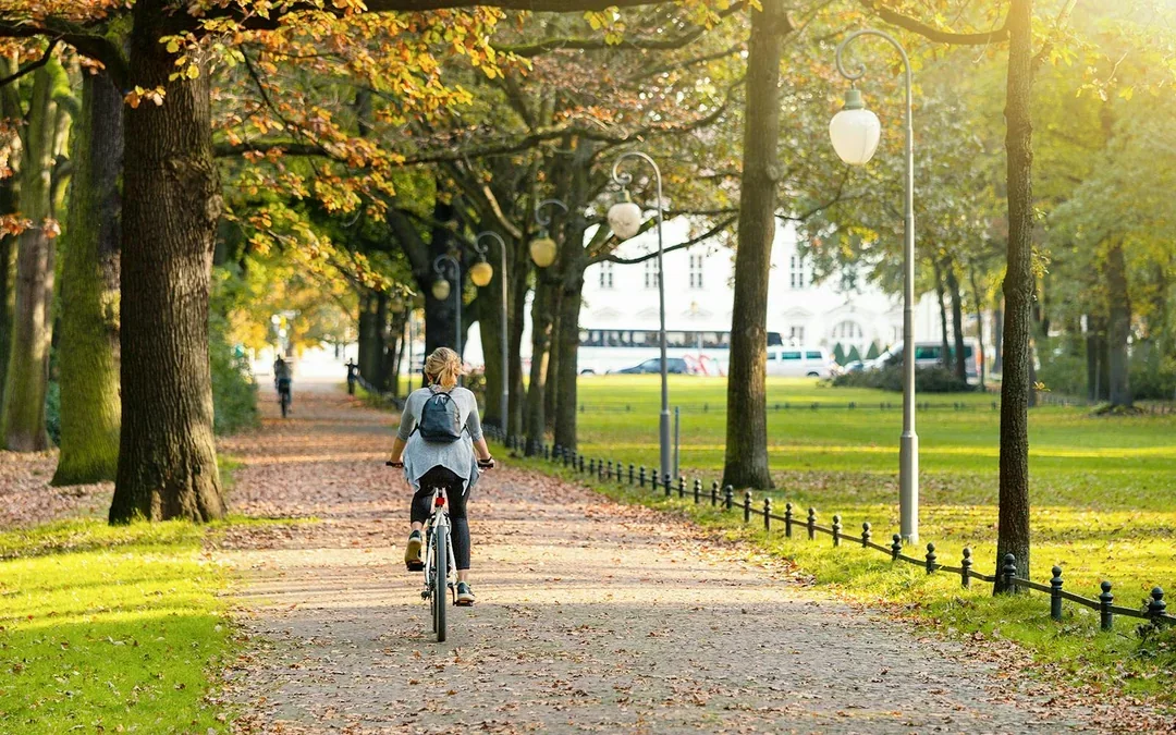 3-Hour Guided Bike Tour of Mitte & Tiergarten Image 5