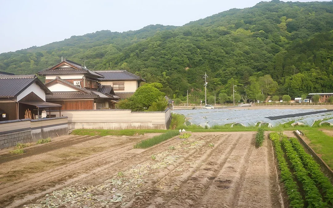 5 Day JR Okayama-Hiroshima-Yamaguchi Area Pass Image 3