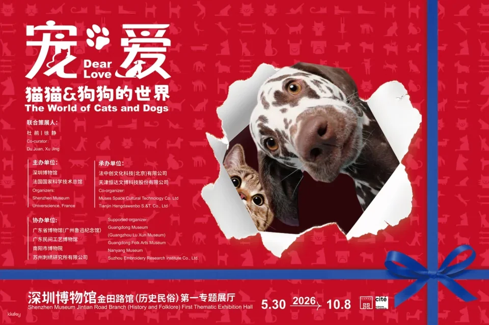 A joint presentation by the French National Museum of Science and Technology and the Shenzhen Museum: "Pets and Love—The World of Cats and Dogs"—an immersive and interactive science education experience.