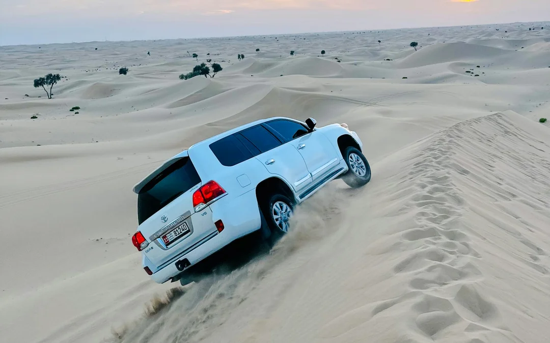 Abu Dhabi Evening Desert Safari with 4x4 Dune Bashing, Camel Ride, BBQ Dinner and Live Shows Image 1