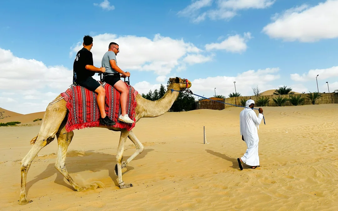 Abu Dhabi Evening Desert Safari with 4x4 Dune Bashing, Camel Ride, BBQ Dinner and Live Shows Image 2