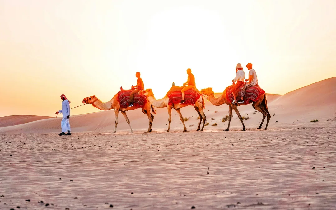 Abu Dhabi Morning Desert Safari with Camel Ride, Dune Bashing & Sandboarding Image 2