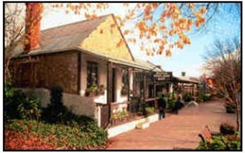 Adelaide Highlights with Wine Tasting & Coast (Full Day Tour) Image 3