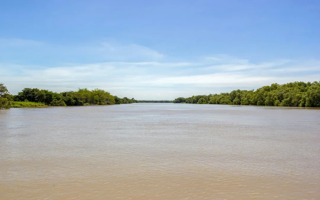 Adelaide River Jumping Crocodile Cruise with Guided Commentary Image 9