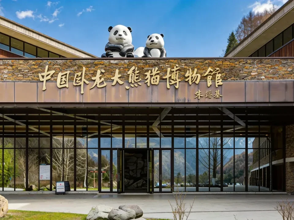 Admission ticket to Shenshuping Base of Wolong Giant Panda Protection and Research Center, Aba Prefecture, Sichuan, China