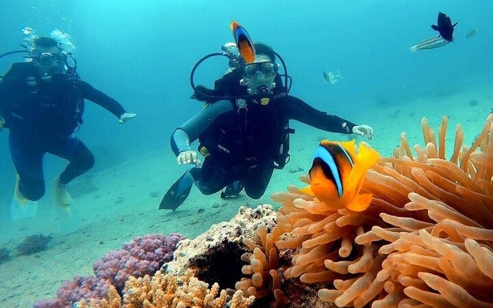 Advanced Diving Course in the Gorgeous Red Sea – Sharm El Sheikh Image 2