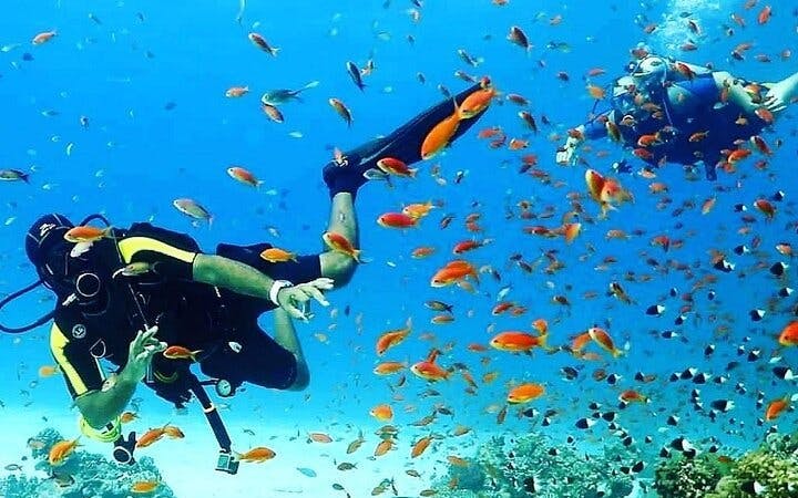 Advanced Diving Course in the Gorgeous Red Sea – Sharm El Sheikh Image 10
