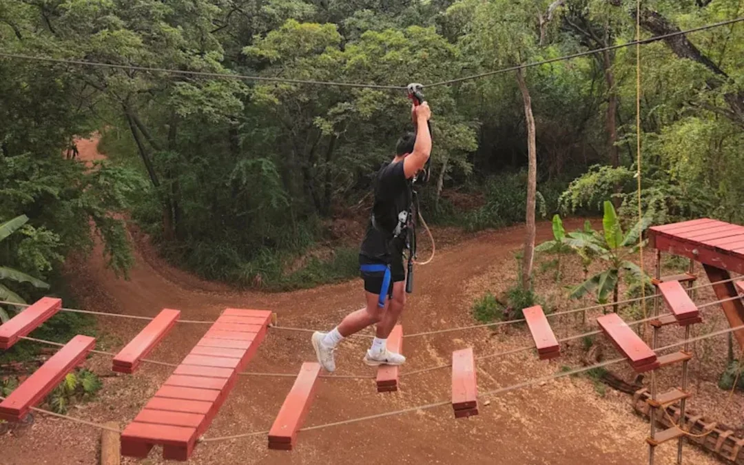 Adventure Course Extreme: 18-Obstacle Course, Climbing Wall, and 50-Foot Freefall Image 4