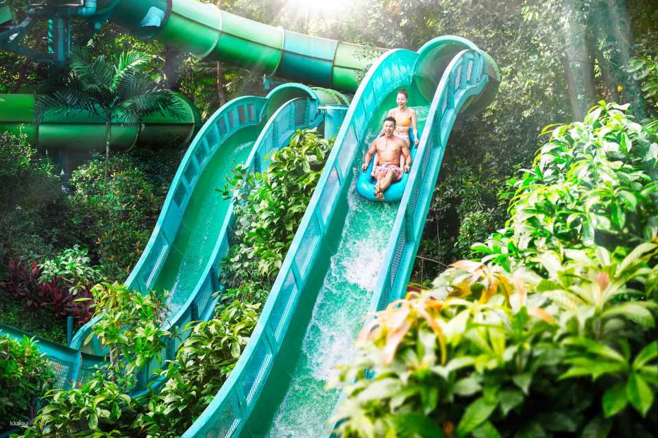 Adventure Cove Waterpark Ticket | Resorts World Sentosa, Singapore