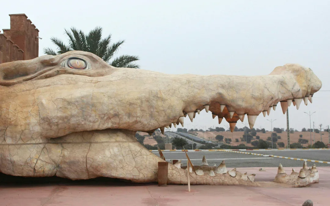 Agadir Crocoparc Tickets with Round-Trip Hotel Transfers Image 2