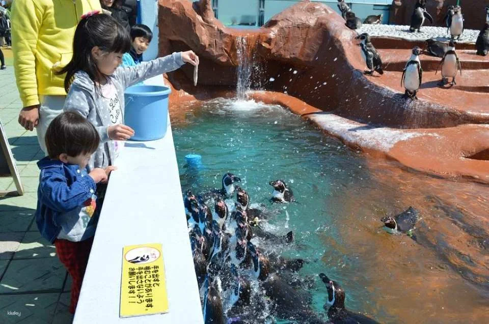 Aichi, Japan | Minamichita Beach Park & ​​Toy Kingdom Common Admission Ticket