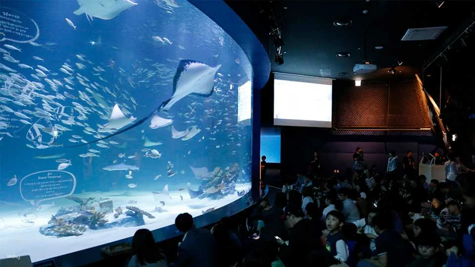 [Ticket Available for Use After 1 Hour of Purchase] Alive Aquarium Daegu Ticket | South Korea