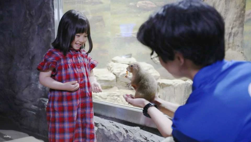 [Ticket Available for Use After 1 Hour of Purchase] Alive Aquarium Daegu Ticket | South Korea