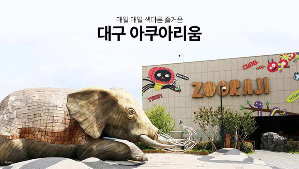 [Ticket Available for Use After 1 Hour of Purchase] Alive Aquarium Daegu Ticket | South Korea