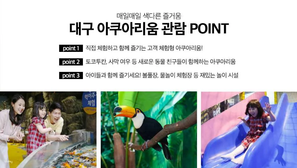 [Ticket Available for Use After 1 Hour of Purchase] Alive Aquarium Daegu Ticket | South Korea