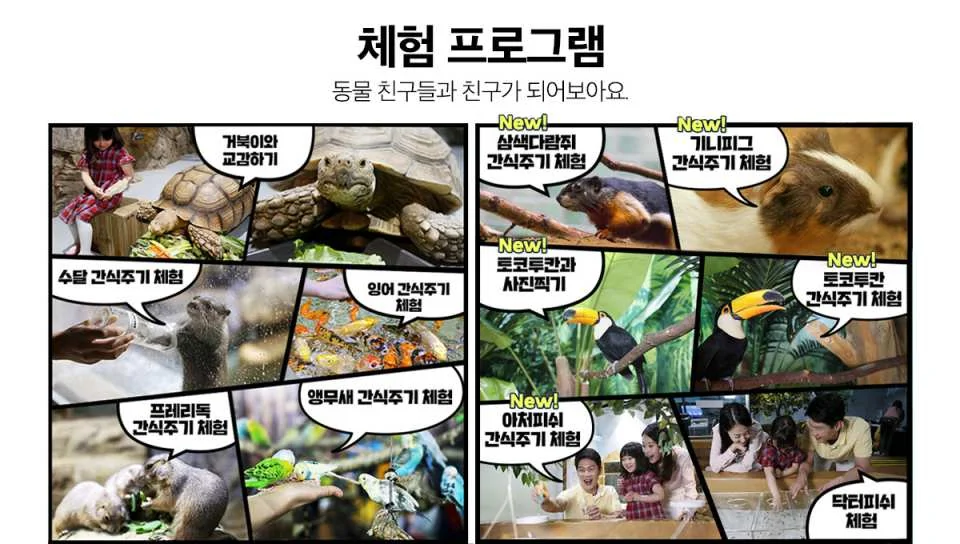 [Ticket Available for Use After 1 Hour of Purchase] Alive Aquarium Daegu Ticket | South Korea