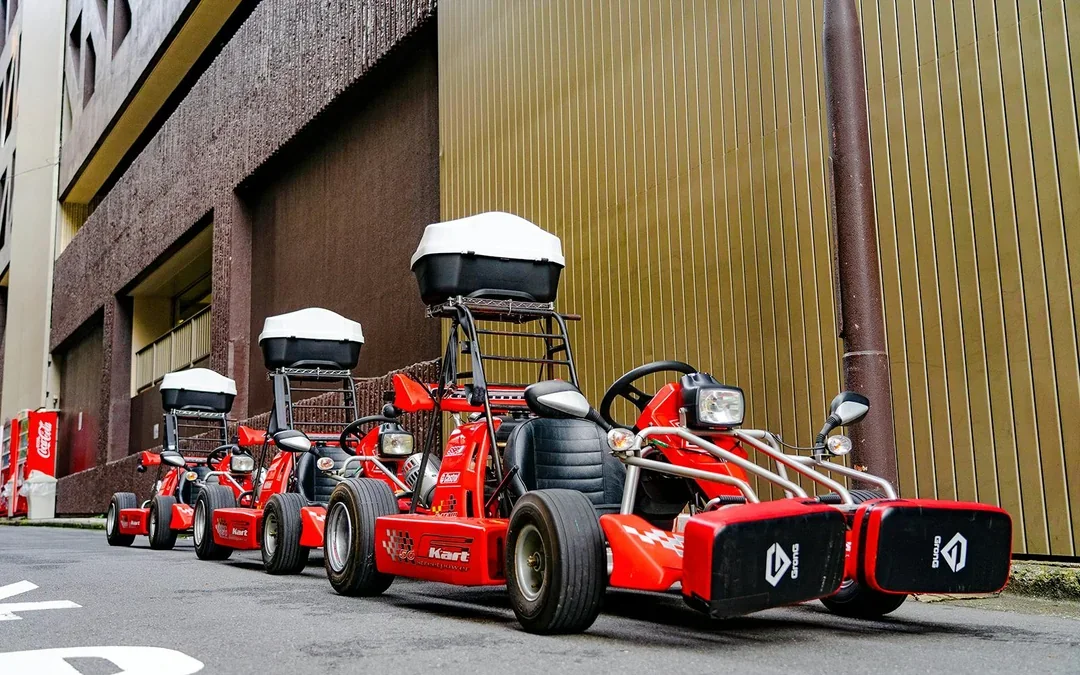 Akihabara: 1-Hour Street Go-Karting Experience Image 6