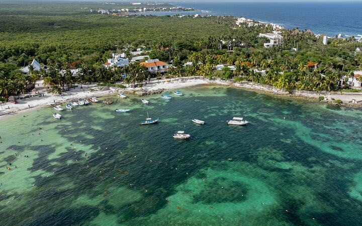 Akumal Bay Sea Turtle Snorkeling Guided Tour with Beach Free Time Image 1
