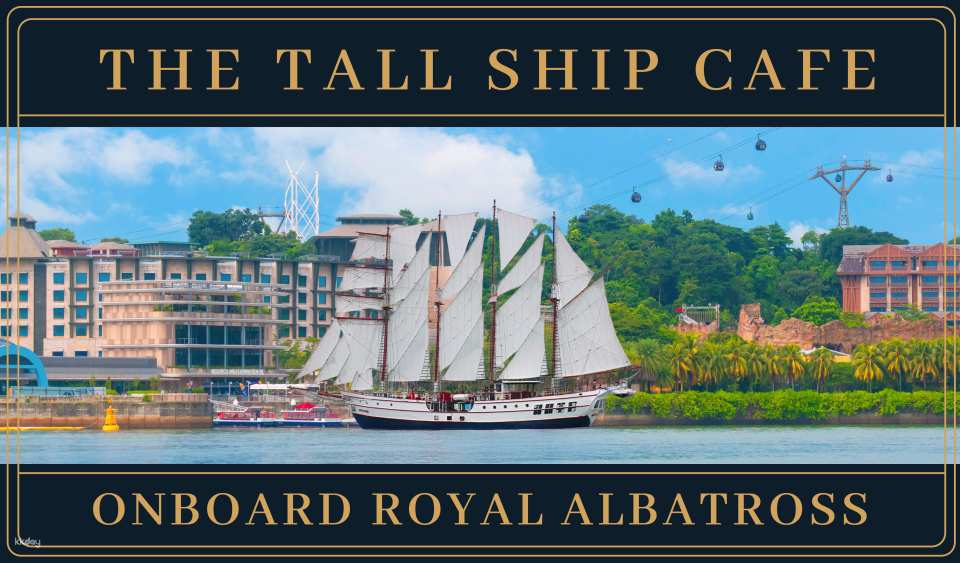 Albatross Speedboat Adventures, Hop-On Hop-Off Speedboat Pass (1-DAY Unlimited Speedboat Rides) | Sentosa, Singapore