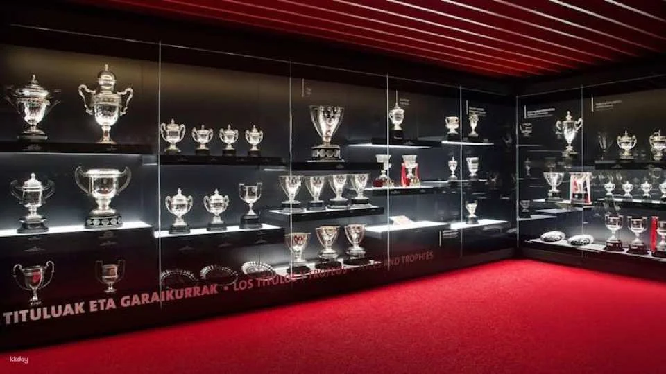 All Iron Bilbao tour: Athletic Club and Guggenheim Museum
