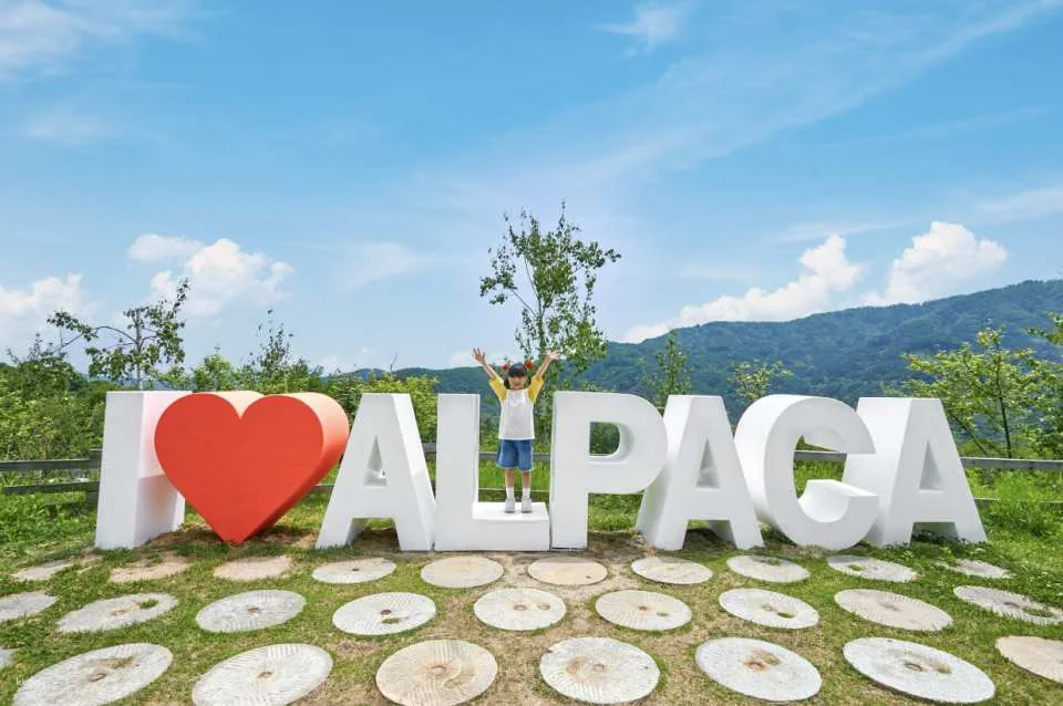 AlpacaWorld Ticket in Hongcheon