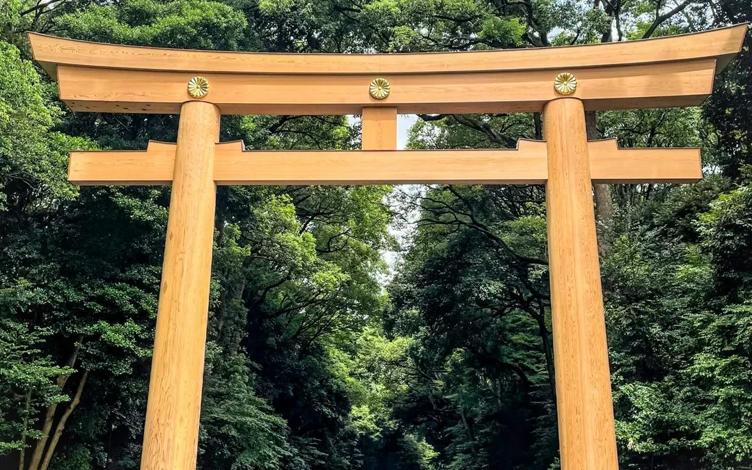 Amazing Tokyo 1-Day Bus Tour Image 9