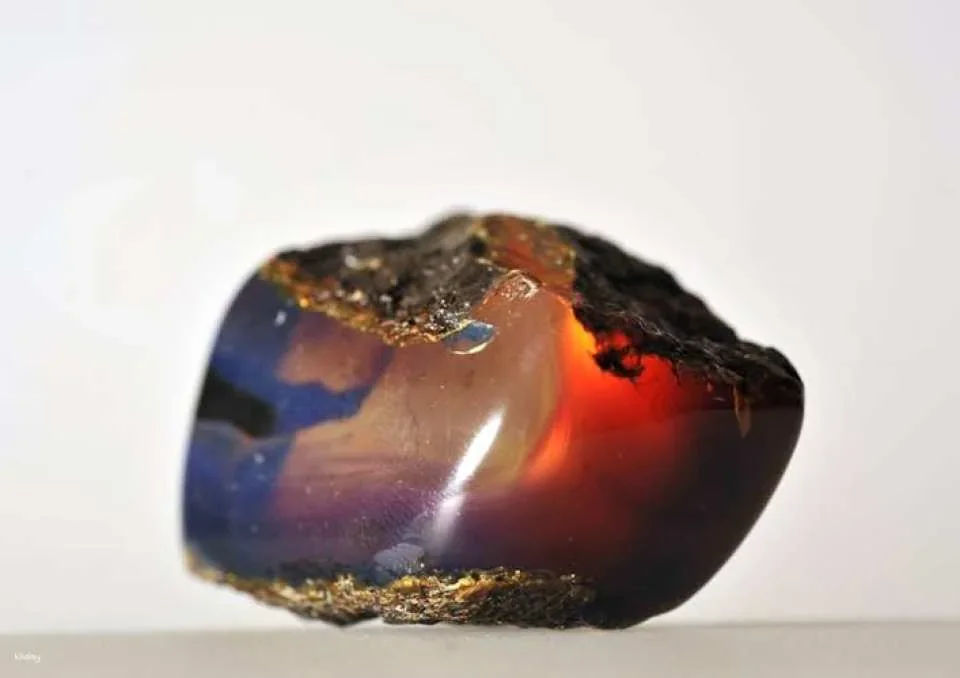 Tickets for the Amber Museum in Ribnitz Monastery
