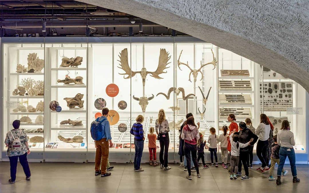 American Museum of Natural History plus 1-3 Top NYC Attraction Tickets Image 1