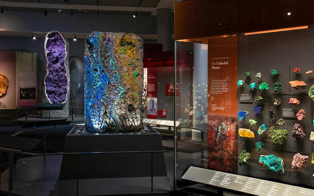 American Museum of Natural History plus 1-3 Top NYC Attraction Tickets Image 10