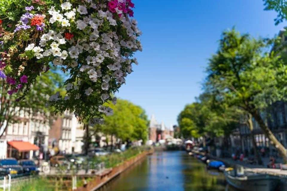 Amsterdam countryside bike tour with 1-hour canal cruise