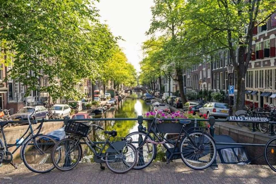 Amsterdam countryside bike tour with 1-hour canal cruise