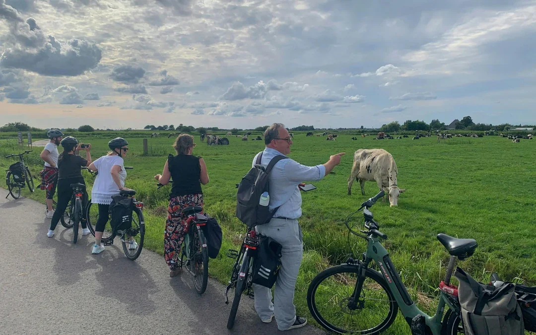 Amsterdam Countryside Cheese, Clogs & Windmill E-Bike Tour Image 3
