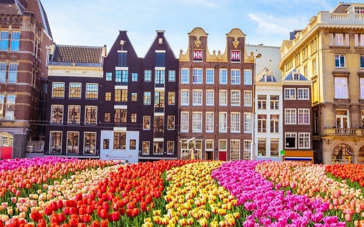 Amsterdam Self-Guided Walking Tour on Mobile App Image 5