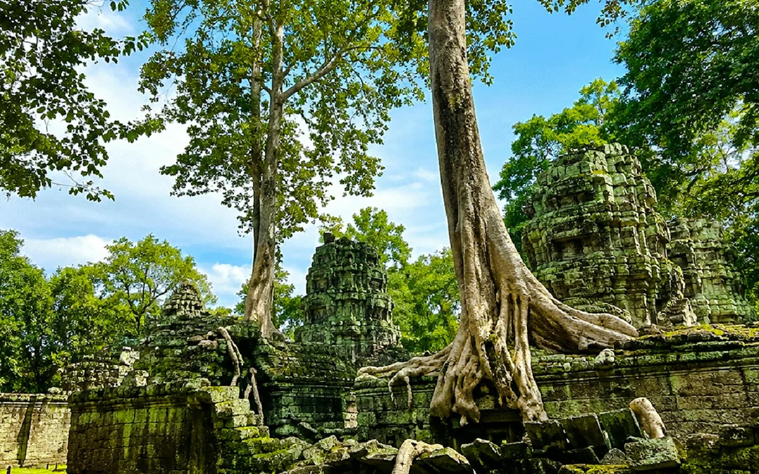 Angkor Temples Small-Group Guided Tour in Spanish Image 5
